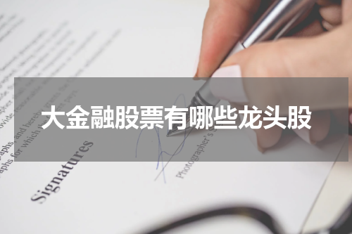 大金融股票有哪些龙头股