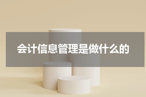 会计信息管理是做什么的