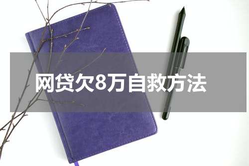 网贷欠8万自救方法