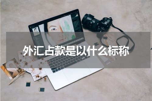 外汇占款是以什么标称