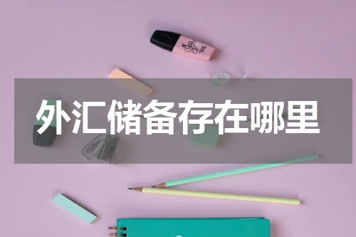 外汇储备存在哪里