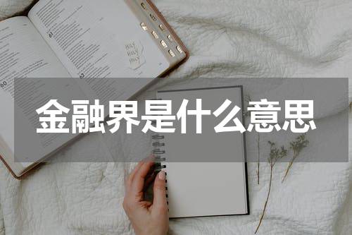 金融界是什么意思