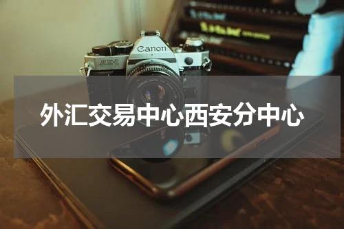 外汇交易中心西安分中心
