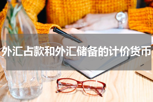 外汇占款和外汇储备的计价货币