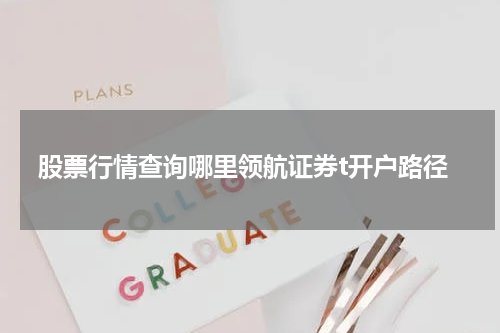 股票行情查询哪里领航证券t开户路径