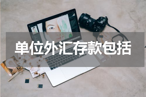 单位外汇存款包括