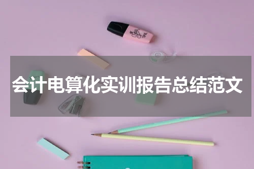 会计电算化实训报告总结范文