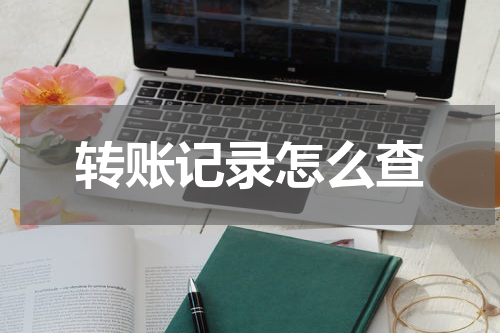 转账记录怎么查