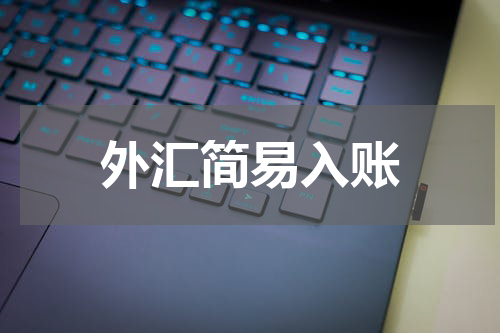 外汇简易入账