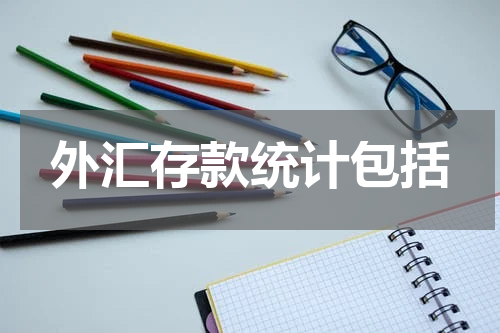 外汇存款统计包括