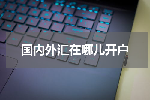 国内外汇在哪儿开户