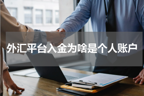 外汇平台入金为啥是个人账户