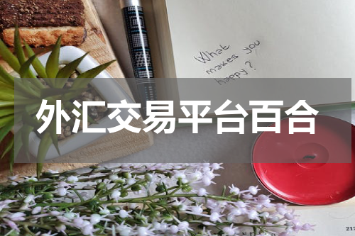 外汇交易平台百合