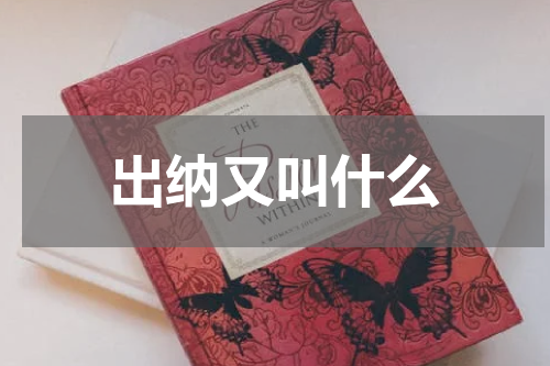 出纳又叫什么