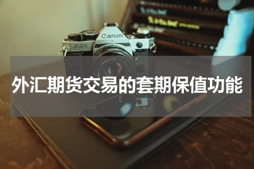 外汇期货交易的套期保值功能