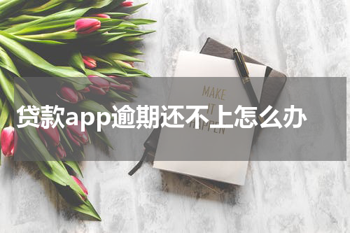 贷款app逾期还不上怎么办