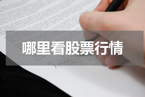哪里看股票行情