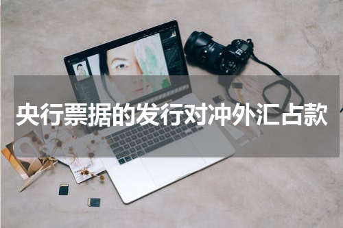 央行票据的发行对冲外汇占款