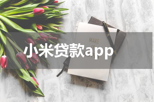 小米贷款app
