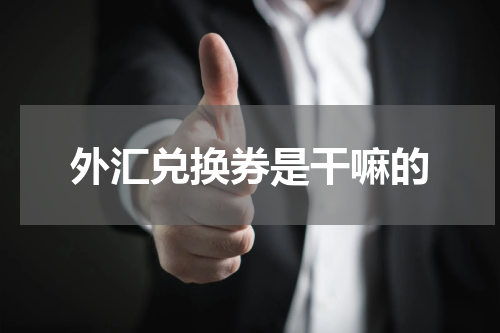 外汇兑换券是干嘛的