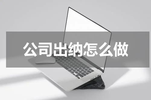 公司出纳怎么做