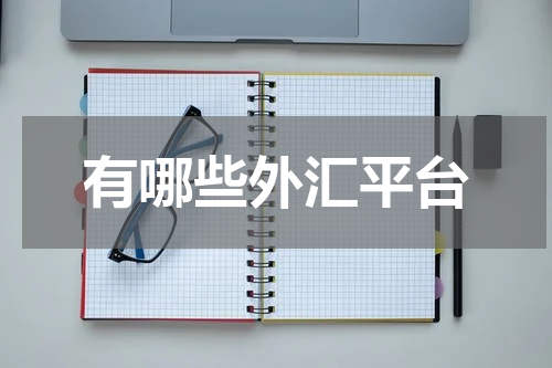 有哪些外汇平台