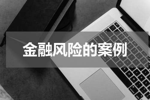 金融风险的案例