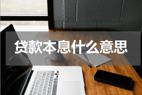贷款本息什么意思