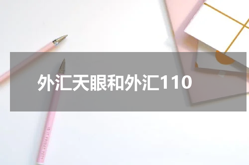 外汇天眼和外汇110