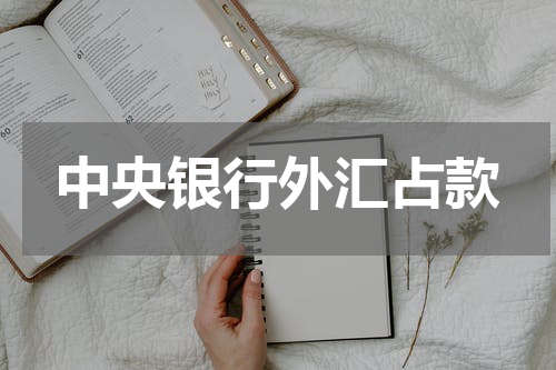 中央银行外汇占款