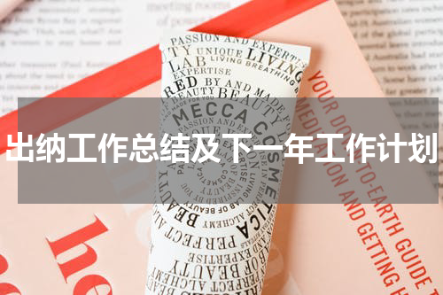 出纳工作总结及下一年工作计划