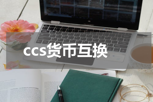 ccs货币互换