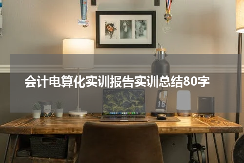 会计电算化实训报告实训总结80字