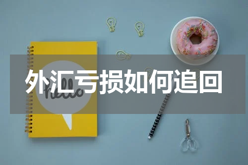 外汇亏损如何追回