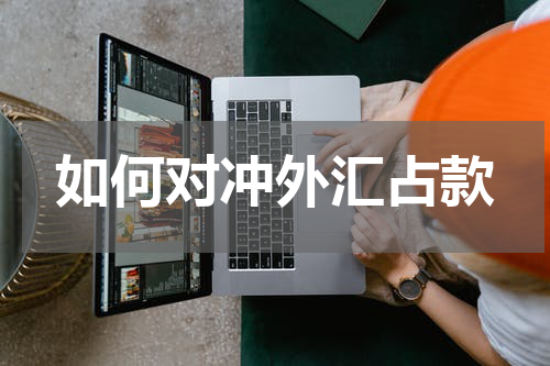 如何对冲外汇占款