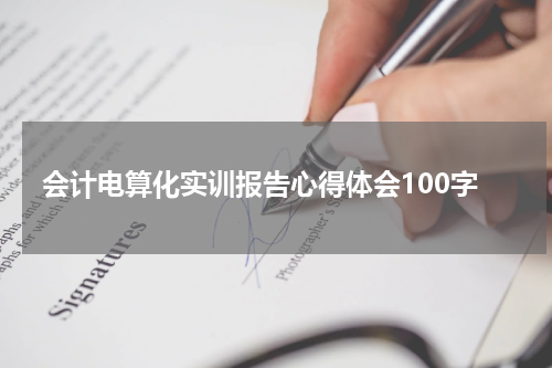 会计电算化实训报告心得体会100字