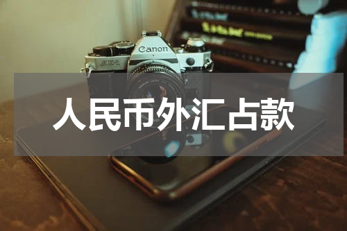 人民币外汇占款