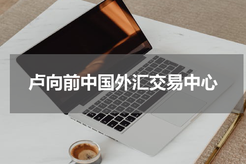 卢向前中国外汇交易中心