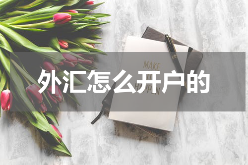 外汇怎么开户的