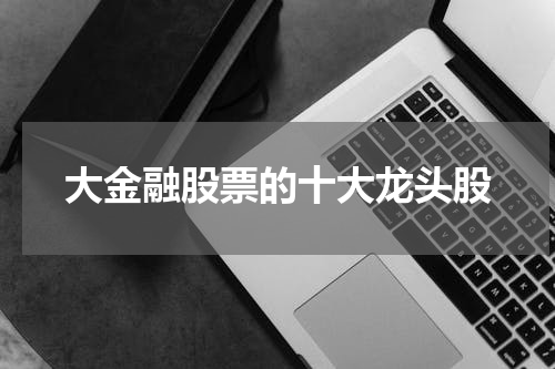 大金融股票的十大龙头股