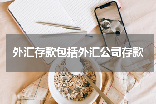 外汇存款包括外汇公司存款
