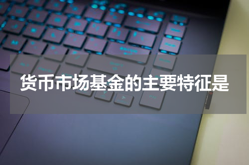 货币市场基金的主要特征是