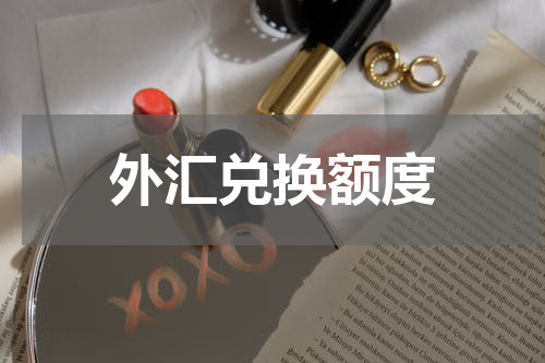 外汇兑换额度