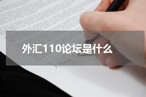 外汇110论坛是什么
