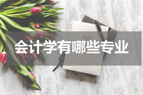 会计学有哪些专业