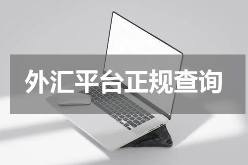 外汇平台正规查询