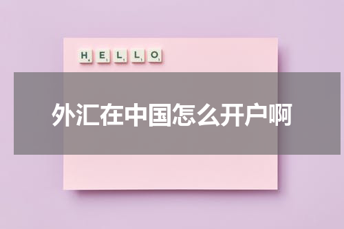 外汇在中国怎么开户啊