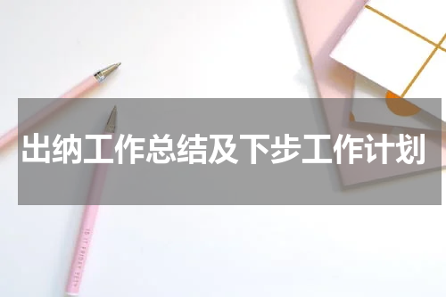 出纳工作总结及下步工作计划