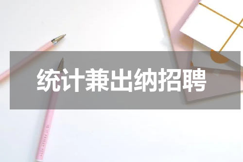 统计兼出纳招聘