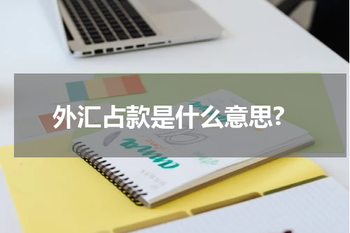 外汇占款是什么意思?